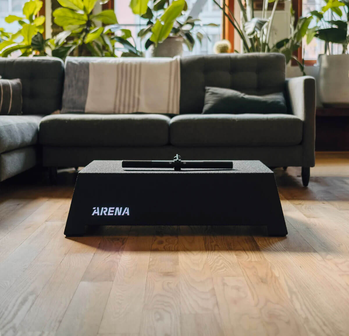 Arena fitness
