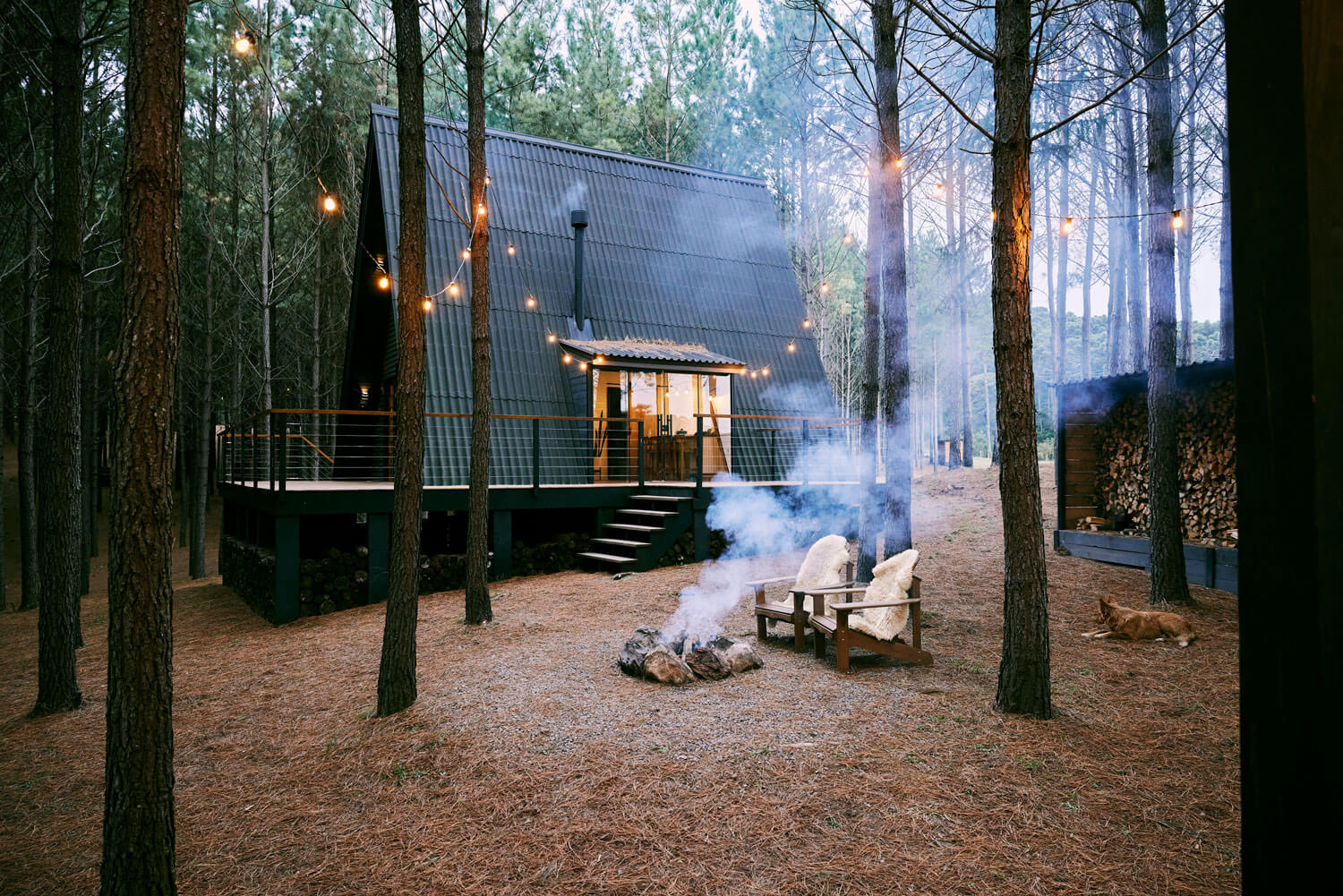 Cabin in the woods