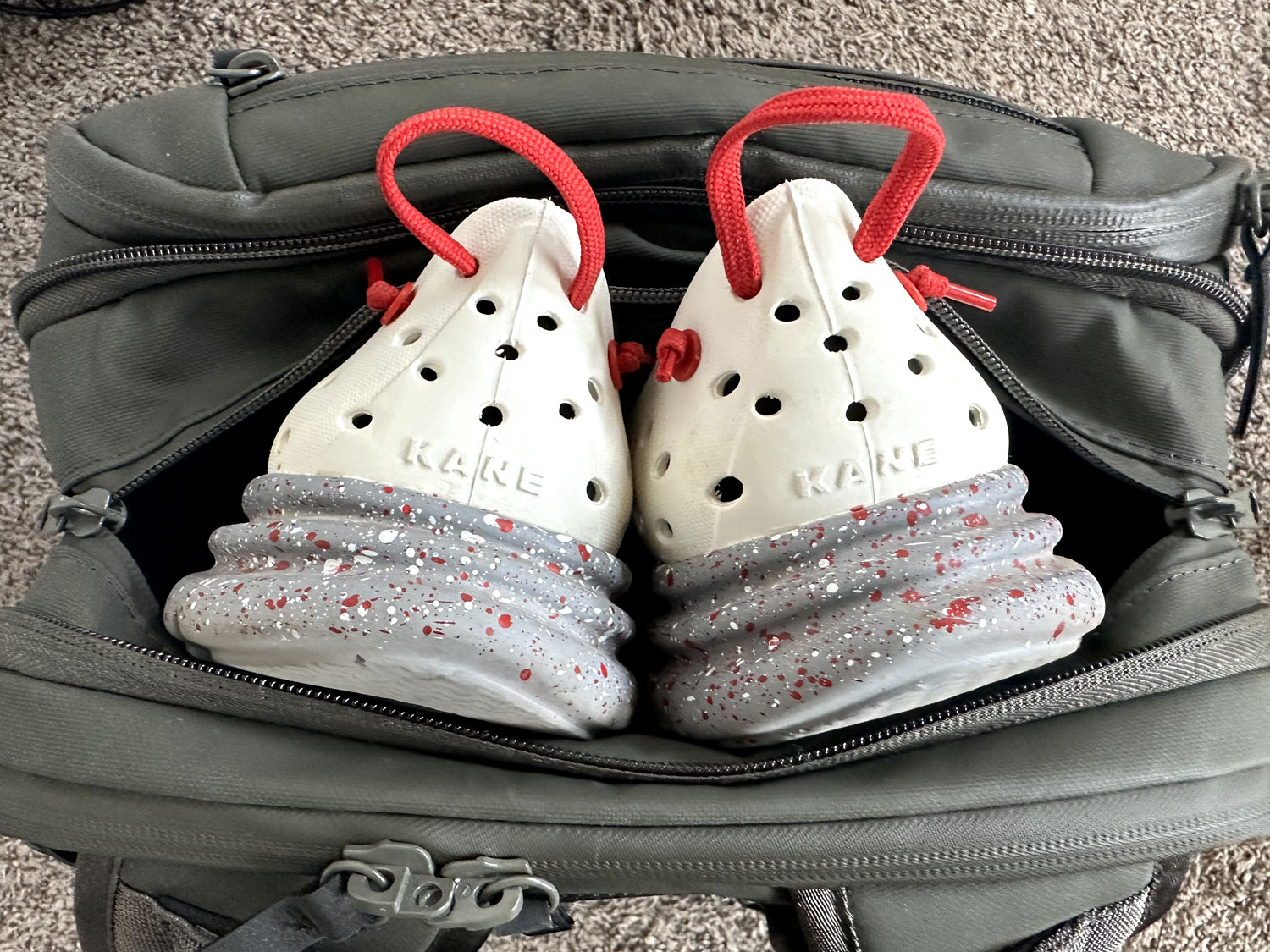 Kane Revives in a gym bag.